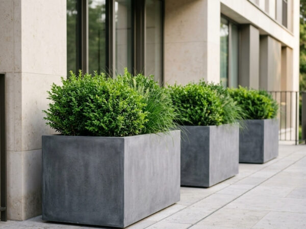 Large planters suitable for growing shrubs in containers.