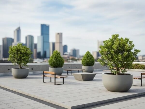 Large architectural planters with trees on a rooftop garden.