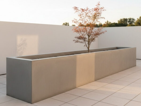 Wide, deep planter sized appropriately for tree stability and growth.