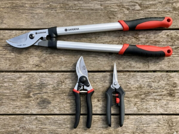 Flat lay of essential pruning tools including secateurs, snips, and loppers on a wooden table. 