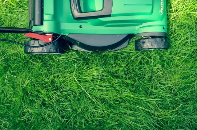 green lawn