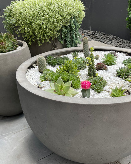 GRC Pitted Concrete Low Round for Cactus and small plants