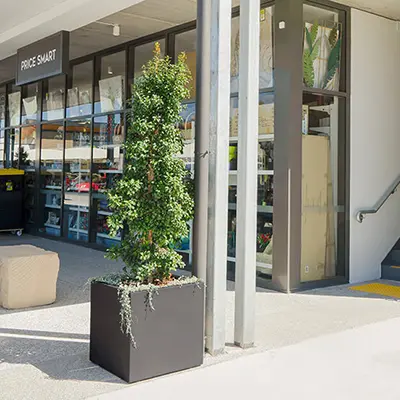 Moscow GRC Planters Enhances Flagstone Central Shopping Center in QLD