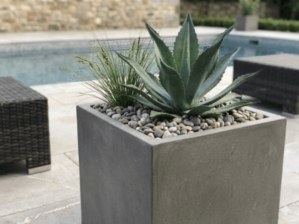 Architectural planter with river rock top dressing used for moisture retention and clean finish.