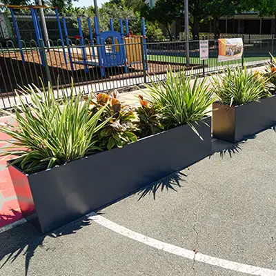 St. Josephs Tobruk Memorial School Uses Charcoal Trough Planters