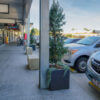 Outdoor Moscow Cement Planters placed in a Carpark