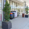 Small tree planted on an Outdoor Moscow Concrete Cube Planter