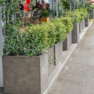 Extra-Large Planters