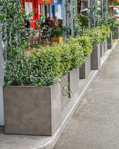 Outdoor GRC Cube and Rectangular Planters in a Public space