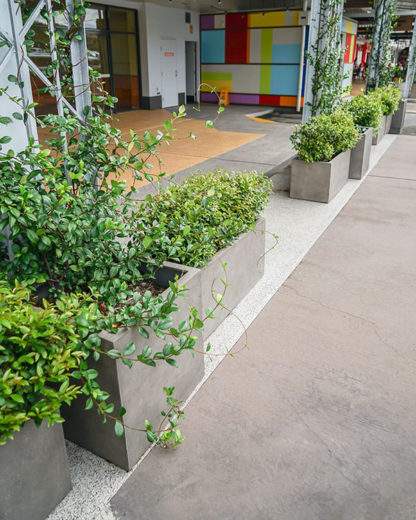 GRC Cube and Rectangular Planters in an establishment entrance