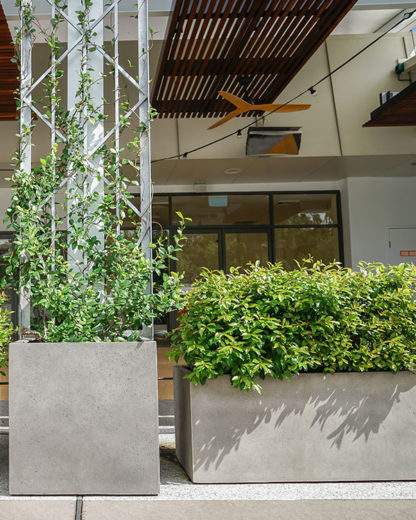 Rectangular and Cube GRC Planters line up in an establishment