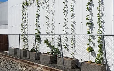 Florence Lightweight Concrete Planters Commissioned to Enhance Back of Shopping Mall