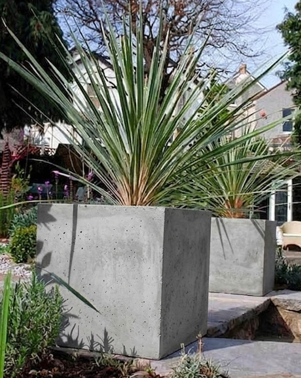 Milano-cube-plant