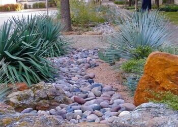 How to Incorporate Xeriscaping into Your Next Landscape Design