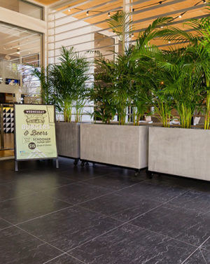 Concrete Planters in Hotels