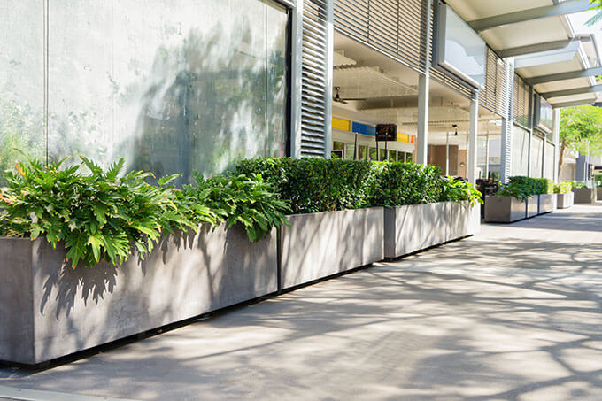 subtlety of the concrete's planters color and texture