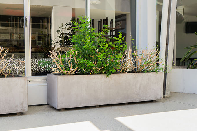 Lightweight concrete planters, also referred to as GRC (Glass Reinforced Concrete) or lightweight cement pots