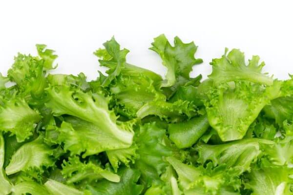 Hanging Garden Lettuce