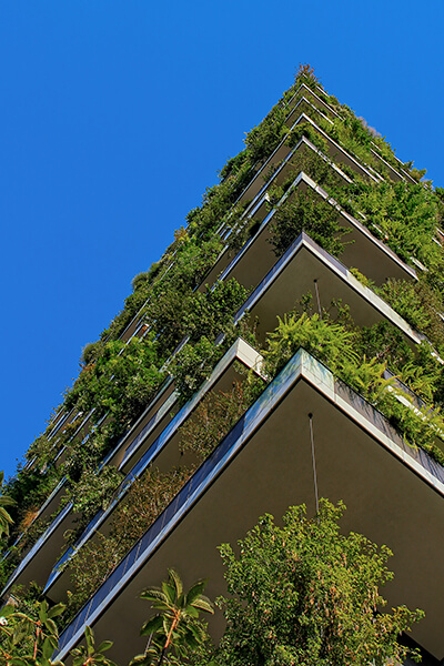 Green Architecture