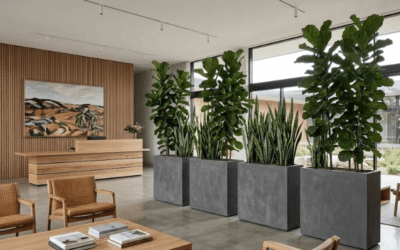 How to Use Pots and Planters for Interior Design