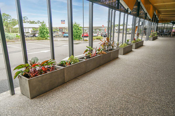 Plant Selection for Container Gardening in Australia Guide 2024