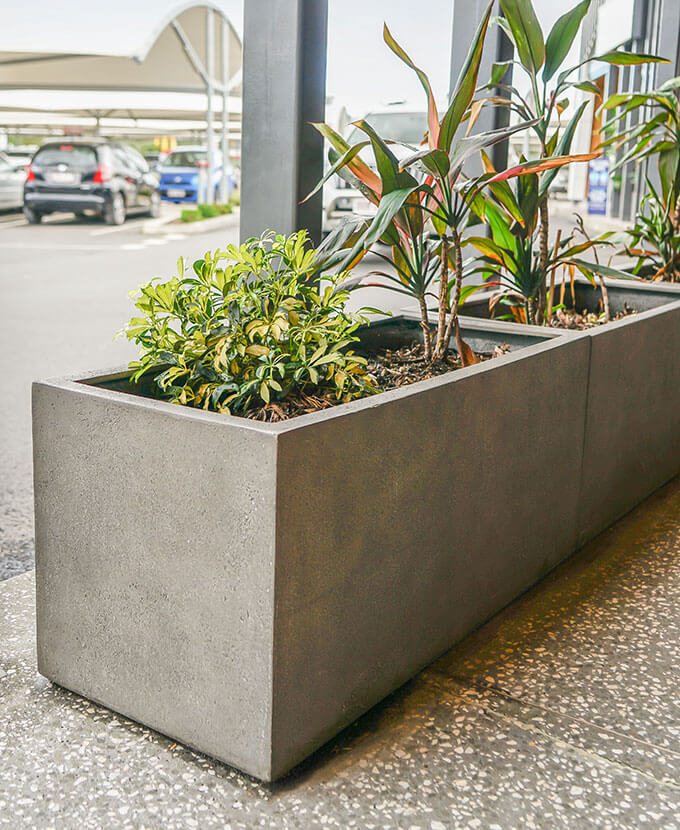concrete planters up close