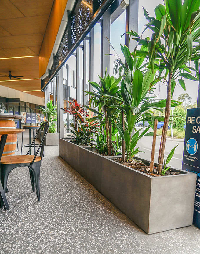 concrete trough planters with tall plants