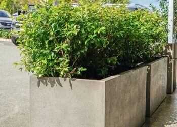 Gardening with Extra Large Pots