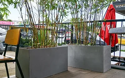 Stylish Functionality: IOTA Concrete Trough Planters and Ornamental Bamboo at Oh Boy, Bok Choy