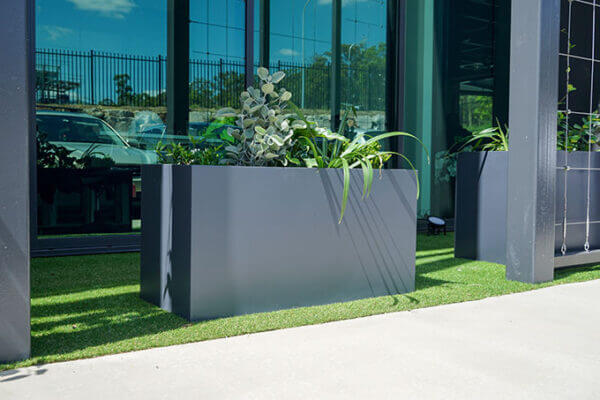 Architectural grey metal trough planter featuring dense ornamental foliage in a commercial landscape.