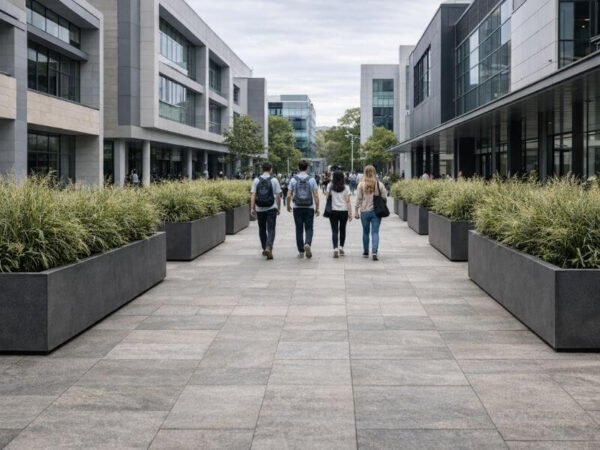 University-style campus walkway lined with large rectangular planters and ornamental grasses guiding foot traffic.