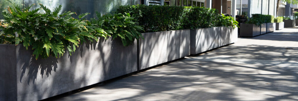 Extra Long Trough Planters along Walkway
