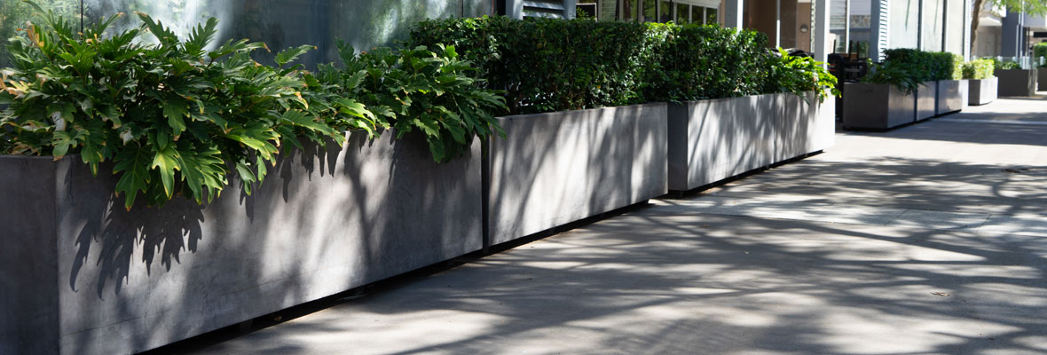 Planters in a row highlight concept of unity