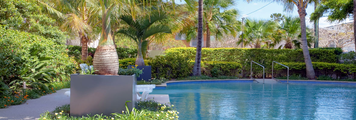 Custom Planters Holding Large Palms by Pool