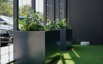 When to Use Fibreglass Planters in Your Landscape: A Design and Performance Guide