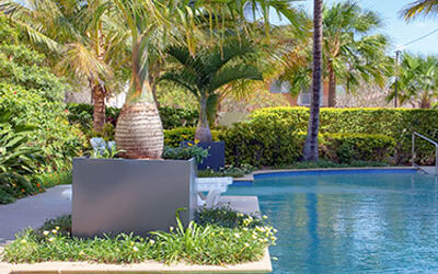 Creating An Outdoor Oasis with Extra Large Lightweight Pots