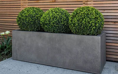  How to Select the Right Sized Trough Planter for Your Commercial Landscape