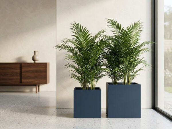 Indoor plants in fibreglass planters without drip trays in a clean home setup. 