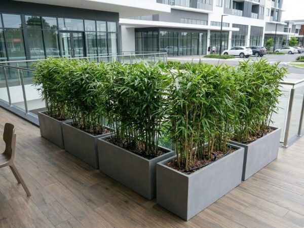 Large-scale container garden using Sigma Planters fibreglass pots with uniform planting and automated irrigation in a modern commercial setting