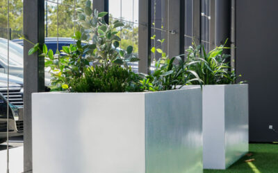 How to Clean and Maintain your Fibreglass Outdoor Planters