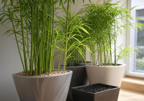 Bamboo-Cluster-Plant-Containers