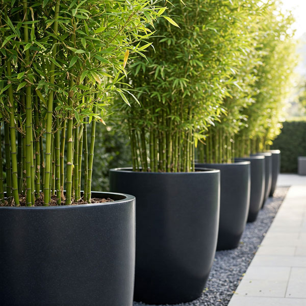 Bamboo-Round-Planters