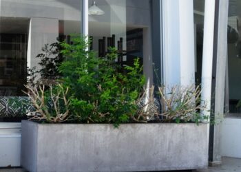 Big Impact, Small Effort: Enhance Your Garden with Extra-Large Outdoor Planter Pots