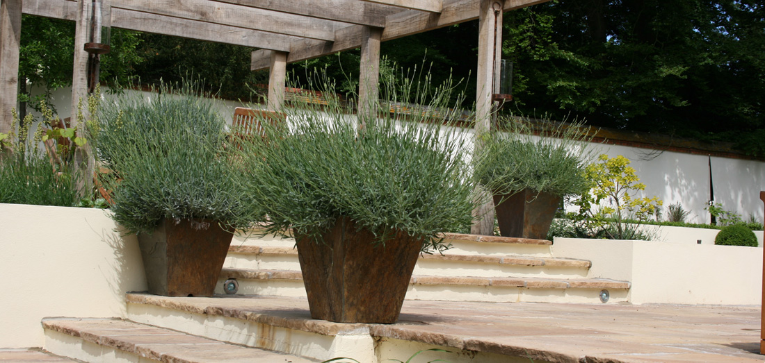 two large, prominently placed planters filled with lavender immediately draw the eye