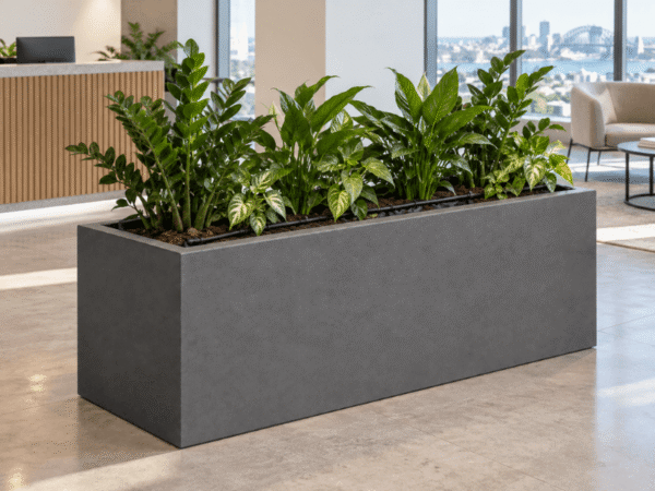 A dark grey rectangular trough planter box with indoor greenery in a commercial office reception area.
