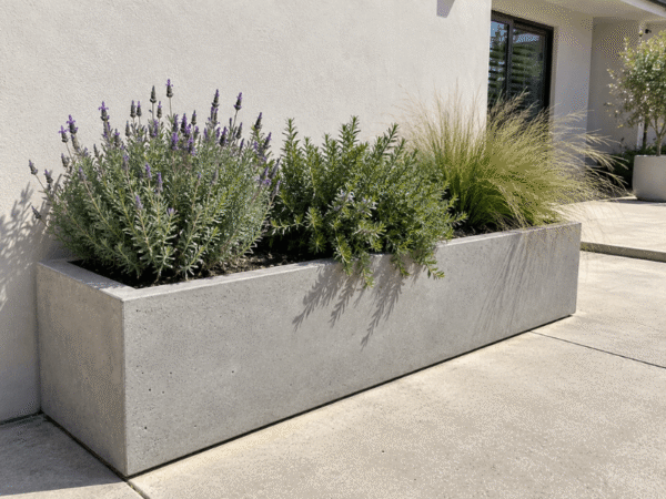 Sun-loving plants grouped together in a large outdoor planter with similar light and watering requirements