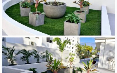 From Leakage to Lush: Mirage Resort Alexandra Headland Upgrades with Sigma Planters