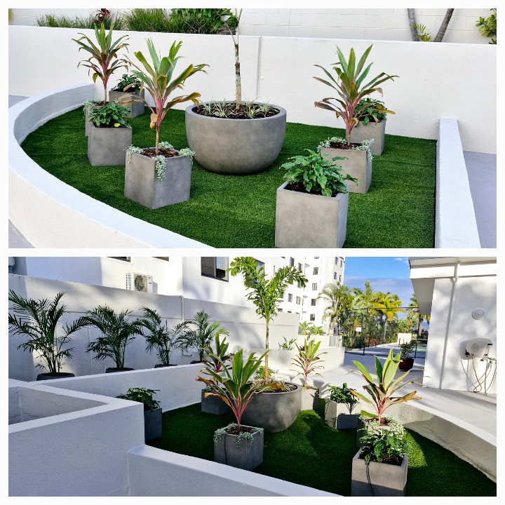 Chrysalidocarpus lutescens, Howea forsteriana, Queen palm, and golden cane in pots within a concrete planters