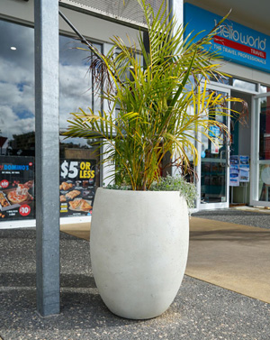 Alaska Tall Round Bolla with Golden Cane Palm