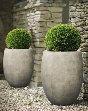 Florence Tall Round Bolla with Topiary